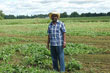 Slide Show: Farming Revival in Mississippi