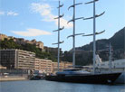 Tax Havens: The Hidden Hand in the Financial Crisis