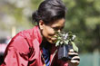 Michelle Obama digs into the White House kitchen garden.