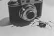 <i>Big Camera, Small Camera</i>, by Laurie Simmons, 1977