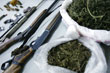 Refugees From Mexico Drug War Flee to US