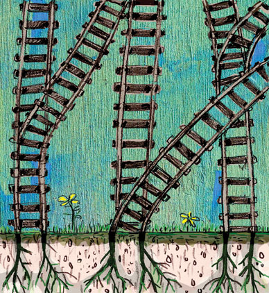  KAREN CALDICOTT 