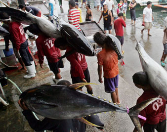 Fish porters, the Philippines Bullit Marquez/AP Images 