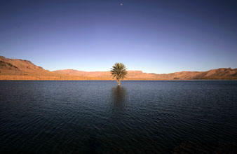  Reuters Photos<br/> 