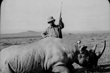 Theodore Roosevelt in Africa with a dead rhino, 1909, photograph by Edward Van Altena